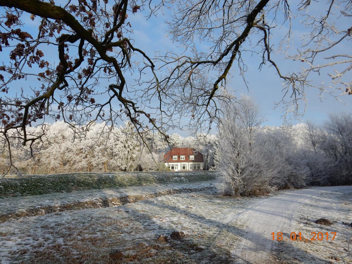 B&B De Zulthe Roden Dış mekan fotoğraf
